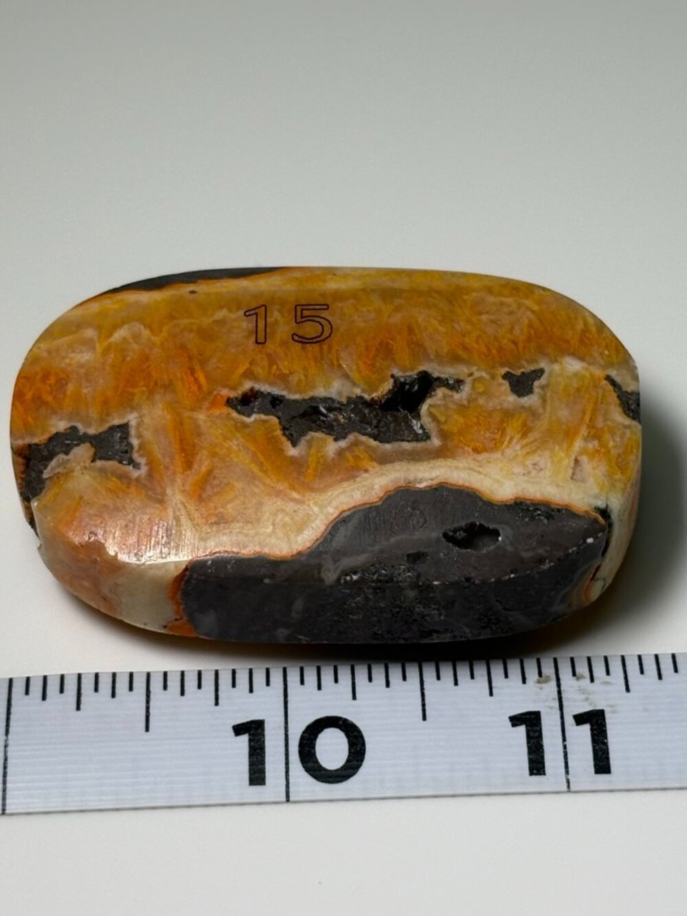Bumblebee Jasper Polished Freeform Stone #15